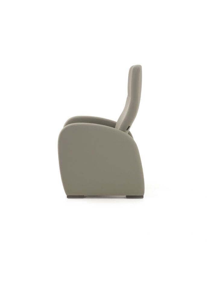 Domus Lounge Chair - Image 3