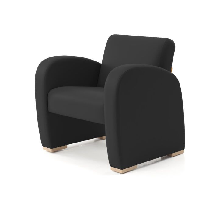 Domus Club Chair - Image 7